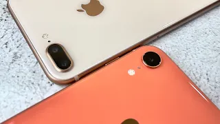 iPhone XR vs iPhone 8 Plus - какой взять на 2021 год