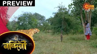 Nandini - Preview | 06 Feb 2021 | Full Episode Free on Sun NXT | Sun Bangla TV Serial