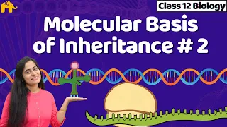 Molecular Basis of inheritance Class 12 | One Shot NCERT Chapter 5 Biology | CBSE NEET Bio