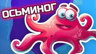 Животные - Морские обитатели - Осьминог