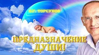 Как узнать ПРЕДНАЗНАЧЕНИЕ ДУШИ на это воплощение? Торсунов О.Г.