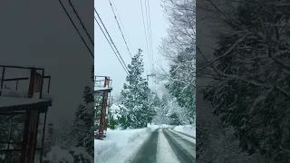 Snowfall in Shiga prefecture, japan.Crossing the eternal white land at early morning.