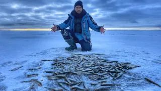 ПОМЕНЯЛ МЕСТО И СРАЗУ ЛИФТ! ЛУЧШАЯ РЫБАЛКА НА КОРЮШКУ ЭТОГО СЕЗОНА | ЗИМНЯЯ РЫБАЛКА НА КОРЮШКУ