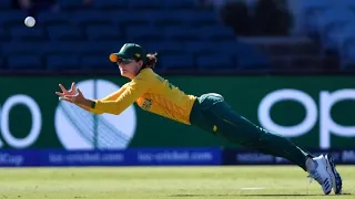 All of the best catches | ICC Women's T20 World Cup