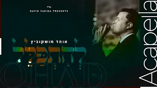 להתפלל (א-קאפלה) I אוהד מושקוביץ Lehitpalel (Acapella) I OHAD I