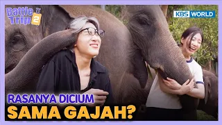 [IND/ENG] Pengalaman dipeluk dan dicium sama gajah!!🐘 | Battle Trip S2 Ep32 | KBS WORLD TV 230706