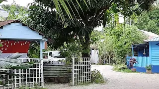 Singapore's last village: Kampong Lorong Buangkok and the Coast to Coast Trail