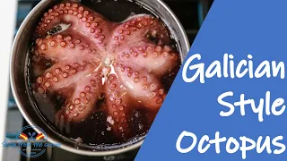 Galician Style Octopus | Typical Spanish Tapa of Seafood