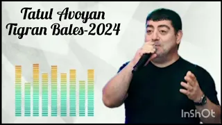 татул авоян боб 2024 2025 тигран балес патписаци канал