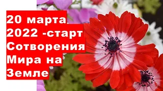 20 марта - день весеннего равноденствия, время старта Сотворения Мира на Земле