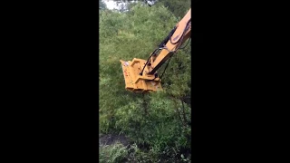 Brush Wolf 4200X on CAT 308 Excavator