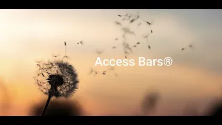 Introducere în Access Bars