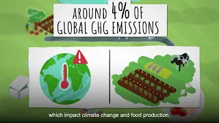 Reducing food loss and waste through sustainable food cold chains