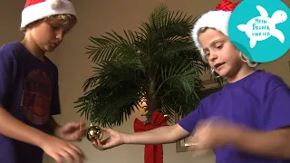 Weihnachten in der Karibik | Mein Bruder und ich in der Karibik | SWR Kindernetz