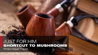 Тропой хоббитов: Трубочное зелье Средиземья – табак Shortcut to Mushrooms