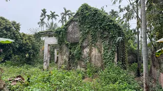 Miraculous transformation of an abandoned house with overgrown grass covering the roof