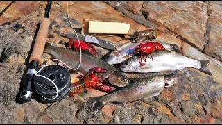 Catch and Cook and Camp Ep. 4 *WILD Trout, WILD Bass, WILD Crayfish*