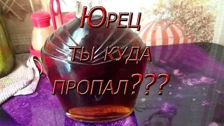 Пропал блогер.... Юрец тайга отзовись!!!!