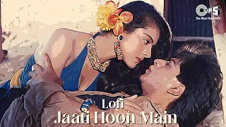 Jaati Hoon Main - Lofi Mix | Shahrukh Khan, Kajol | Kumar Sanu, Alka Yagnik | 90's Love Song