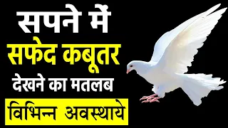 Sapne me safed kabutar dekhna | seeing white pigeon in dreams | safed kabutar ka sapna dekhna