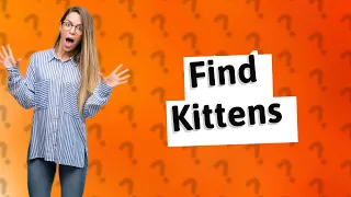 Will my cat lead me to her kittens?