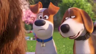 The Secret life of pets 2 (1/20 Gio Channel