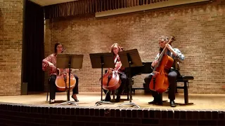 "The Swan" for cello trio