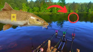 ACTIVE BARBEL SPOT IN COPPER LAKE + TROPHY! #973 Russian fishing 4