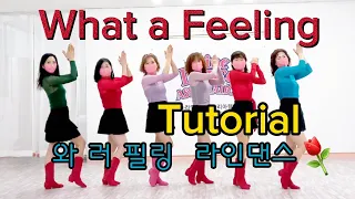 🌹What a Feeling Linedance(Phrased Improver) - Tutorial(Teach) 🌺와 러 필링 라인댄스 투토리얼(티치)