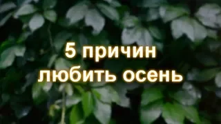 5 причин любить осень