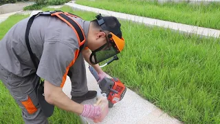 541RS brush cutter working video