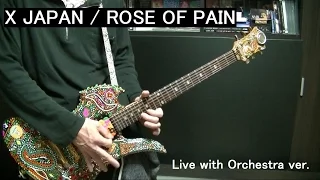 🌹 【X JAPAN】ROSE OF PAIN (LIVE with Orchestra ver.) ギター guitar cover