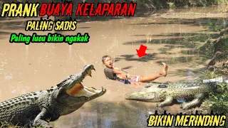 Special Edition Prank Buaya Raksasa || Paling Sadis Bikin Ngakak 🤣🤣 || Funniest Crocodile Prank