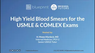 High Yield Blood Smears for the USMLE & COMLEX Exams