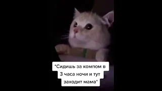 Сидишь за компом в 3 часа ночи, и тут заходит мама #Shorts