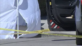 52-year-old man fatally shot while walking dog in Mid-City, LAPD says; Shooter at large | ABC7