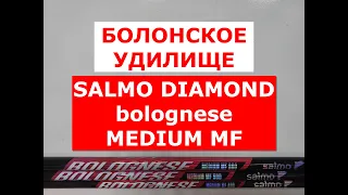БОЛОНСКИЕ удилища SALMO Diamond BOLOGNESE MEDIUM MF | ОБЗОР БОЛОНСКИХ УДИЛИЩ САЛЬМО ДИАМОНД МФ