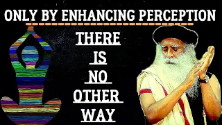 You will never understand Creator, but you can experience! - Sadhguru