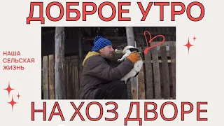 Доброе утро на Хоз Дворе