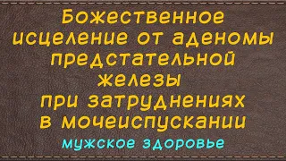 Божественное исцеление от аденомы предстательной железы при затруднения в мочеиспускании