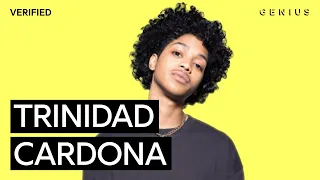 Trinidad Cardona “Dinero” Official Lyrics & Meaning | Verified