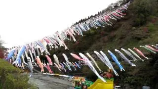 神流町 鯉のぼり祭り1 100428