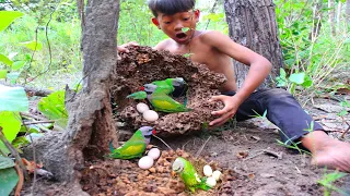 Man tearing a parrot's nest # Short-haired man#bird #parrot #beautiful #wildlife #love #love #agle