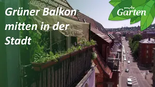 Balkon an der Hauptstraße: Naturnah gärtnern mitten in der Stadt | MDR Garten