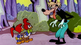 Little Red Riding Woody | Woody Woodpecker