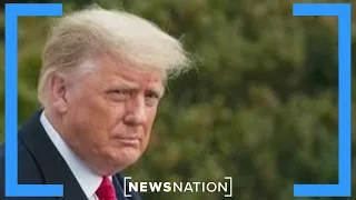 Trump probe: Expert says there's a lot we don't know | NewsNation Live