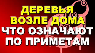 Деревья возле дома: что они означают, согласно приметам