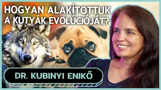 Az EMBERI ÖREGEDÉS potenciális ÁLLATMODELLJE - Dr. Kubinyi Enikő - Pulicorn Podcast