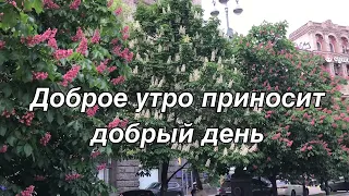 С добрым утром/хорошего настроения/моим друзьям