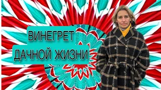 ДАЧНАЯ ЖИЗНЬ. ВИНЕГРЕТ СОБЫТИЙ ОТ СОРНЯКОВ ДО ЖЕМЧУГА. N3